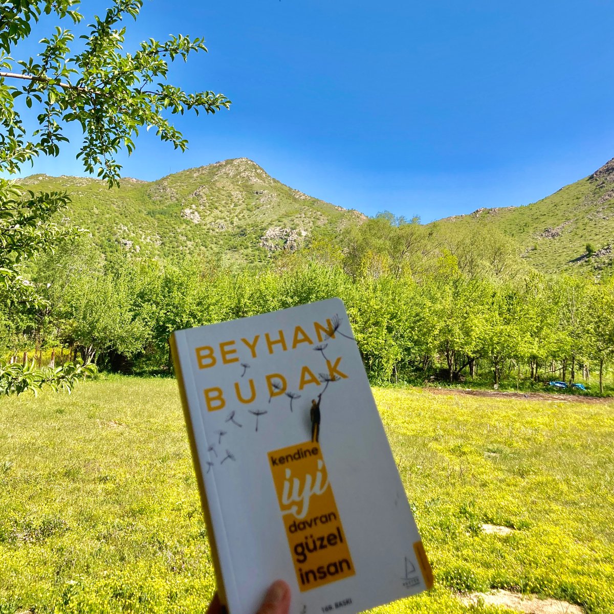 Yusra_Afra's tweet photo. Köyümden bahar güncesi…💚 https://t.co/PFUgak2tB7