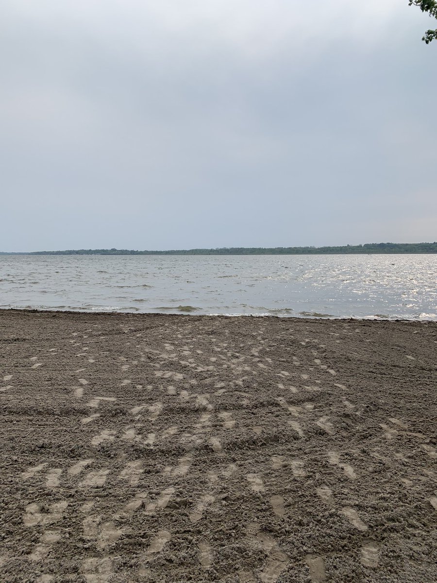 Brian Moore tweet media