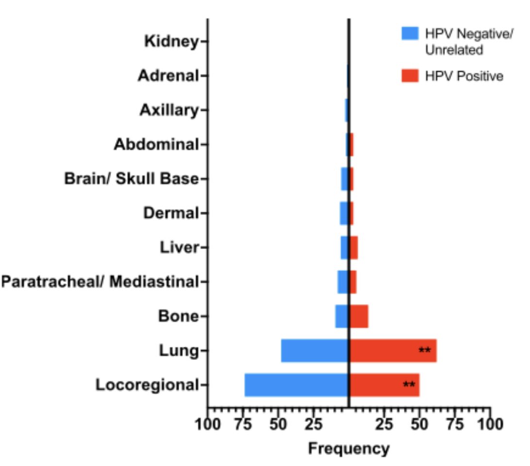 🗣Retro study of 447 #HNSCC pts in 20 y from @NCICancerCtrl notes a ⬆️6.7 ➡️11.8 mo over time 
👉HPV-negativity, ⬆️ neutrophil/lymphocyte ratio, DFI ≤6 months & ⬇️KPS were predictors ⬇️OS 
👉88.6% recurrences within 2 y 
👉HPV+ & BMI≥30 pts ↔️mets ⚠️Personalized FU is crucial