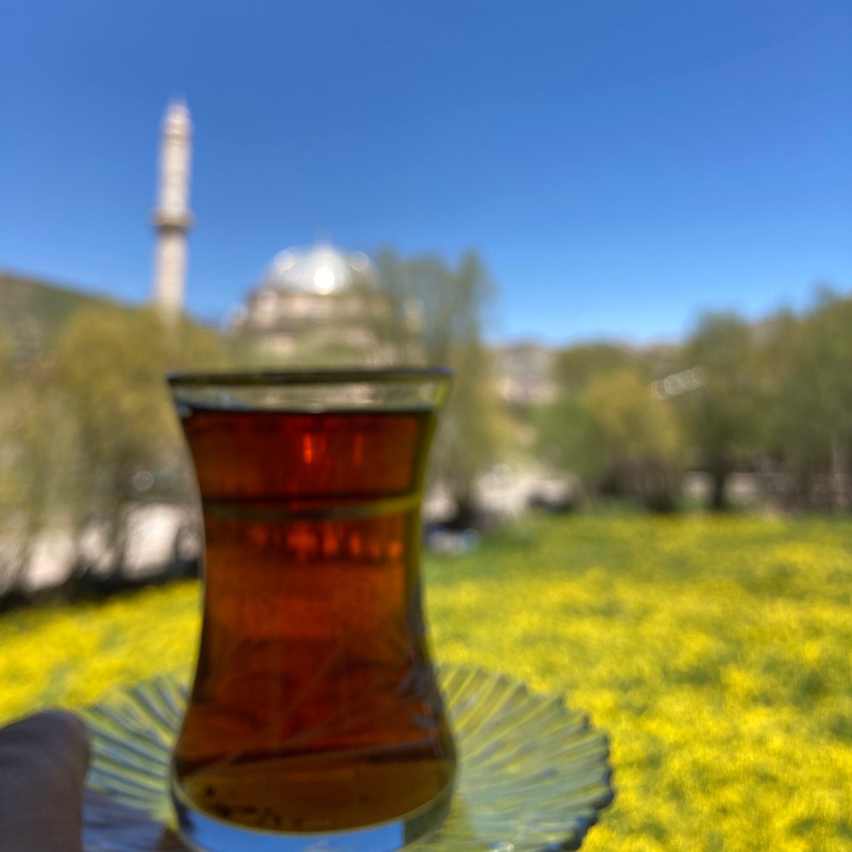 Yusra_Afra's tweet photo. Köyümden bahar güncesi…💚 https://t.co/PFUgak2tB7