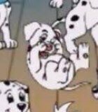 OddballSpoty102's tweet image. Hello I am Oddball welcome to my account

#102Dalmatian fandom/crossover friendly 
Independent portrayal of the pup Oddball
Ships with: @BasilsBestHound 
.Likes to play and have adventures
Will protect and rescue my family from the fur fiend Cruella De’vil
Like and retweet