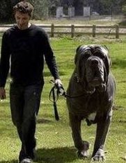 Sharika Soal 🇺🇸 on Twitter: "Someone dare him to steal this"