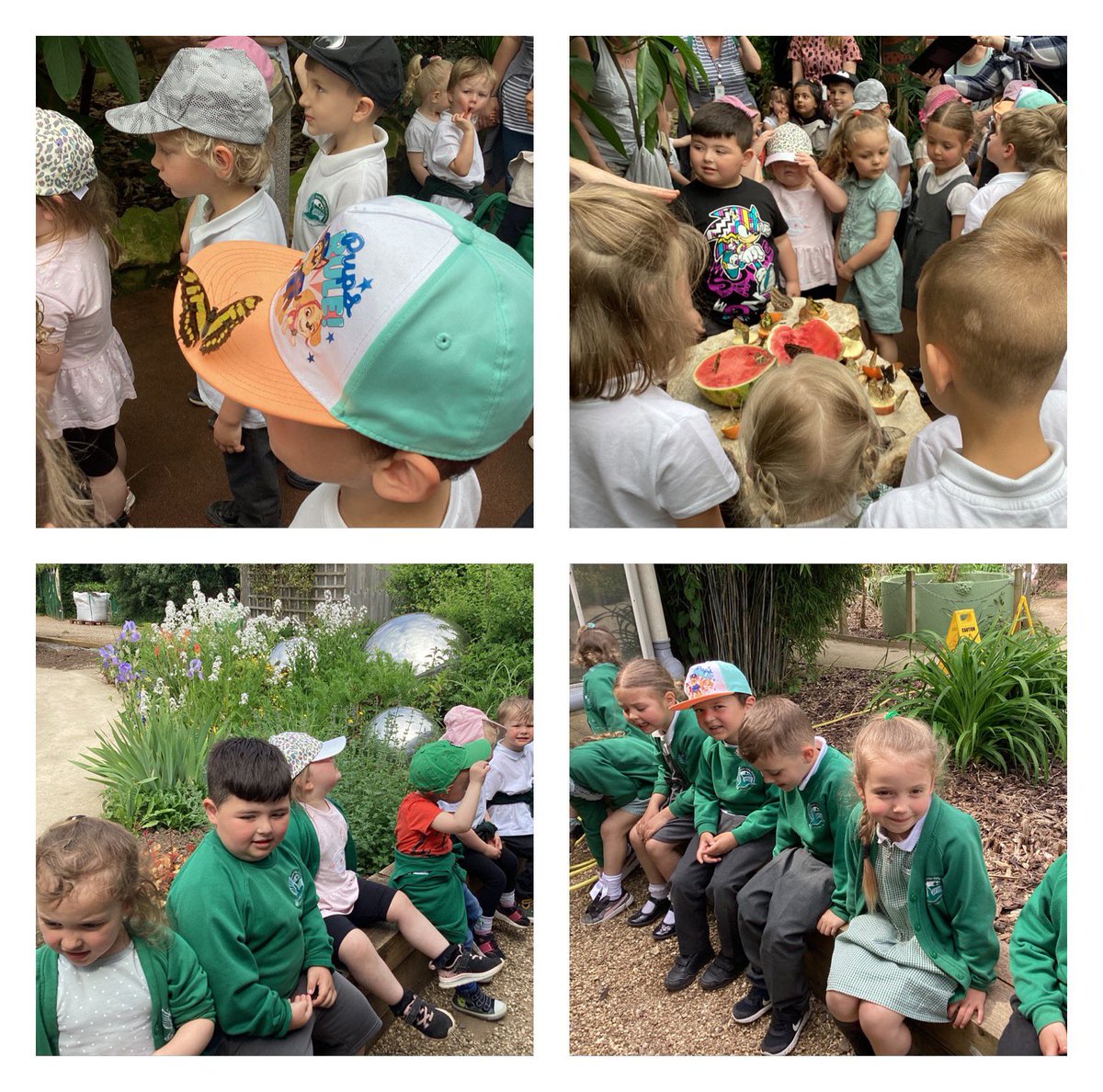 Look at all the wonderful activities we have completed this week… EYFS had an amazing visit #stratfordbutterflyfarm.