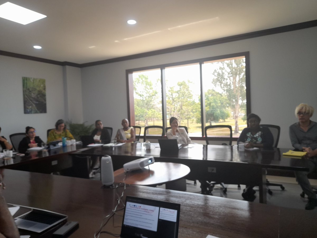 UNIBAMSupport's tweet image. Two different meetings one with the Commonwealth Evaluators and one with the National Steering Committee for Spotlight Initiative- a GBV  response.