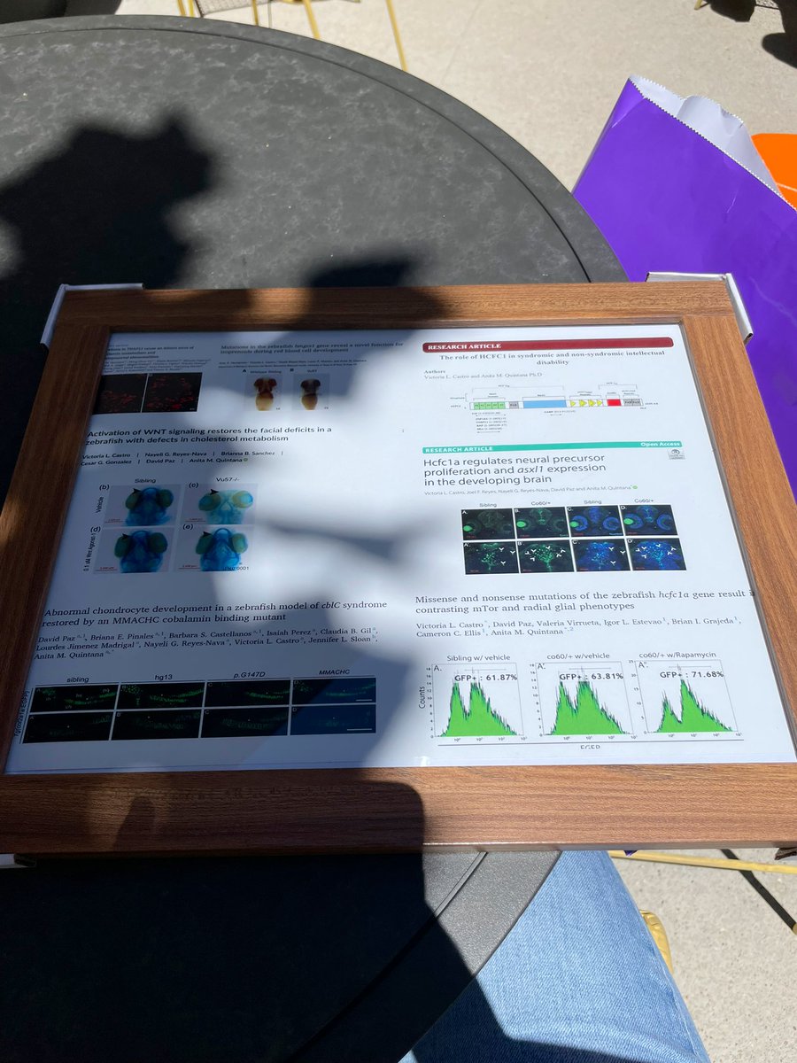 vlcsci's tweet image. End of the year lab potluck &amp;amp; gift exchange! Also my last PhD lab party ever! 🥹🎈“Thanks a myelin” for all you do, @AnitaQuintana20! 🧠🧬🧪🔬🥼