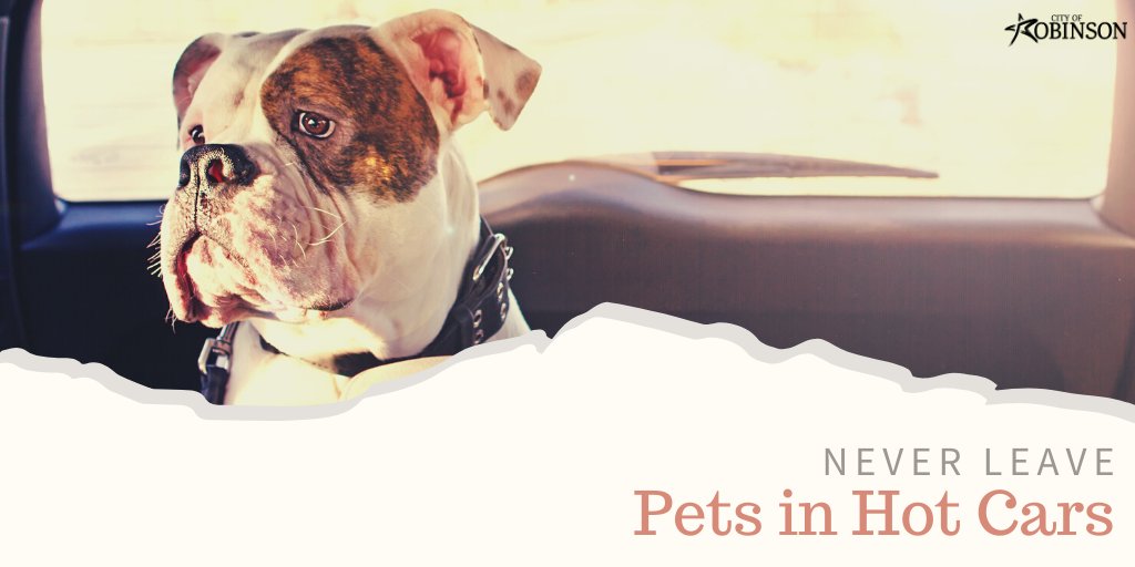 robinsontxpd's tweet photo. You need to run an errand that shouldn't take long so you decide to bring your furry companion along since they love car rides. But it's best to leave Fido @ home. Hundreds of pets die each year from being left in hot cars. Even on a mild day, temps in a car can increase quickly. https://t.co/QKQdG3Jk7p