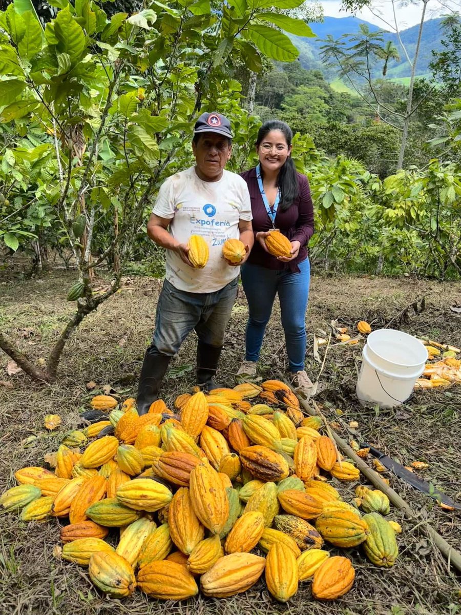 IEPS_Ec's tweet photo. #Zamora | Nuestra Directora Zonal 7 visitó las organizaciones #Aprodincotex y #Asopromas de los sectores textil y producción de cacao de la #EPS. Estamos comprometidos con el desarrollo integral de nuestros emprendedores en todo el país.

#SomosEPS 
#ImpulsoProductivoEPS https://t.co/zpFRWVkRxS