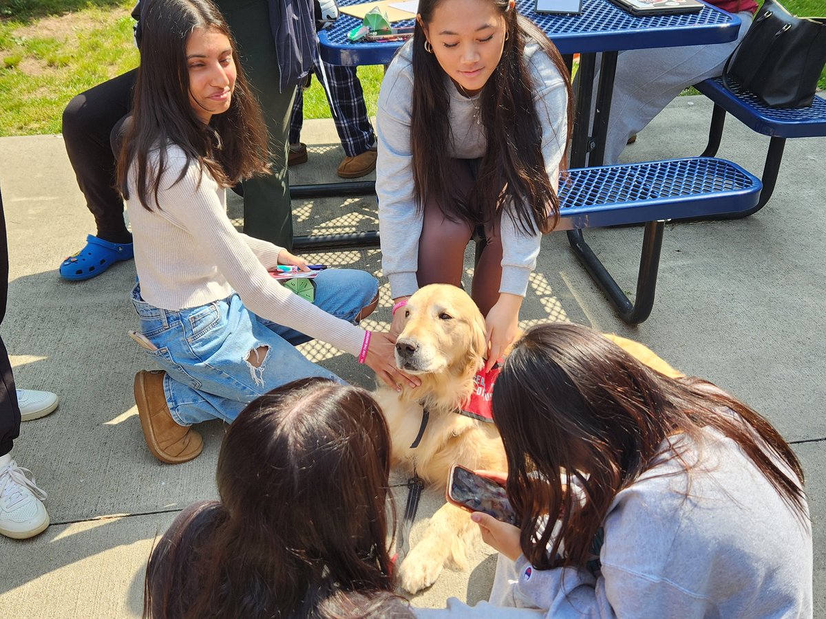 CounselorMissG's tweet photo. May Is Mental Health Awareness Month ❤️ CHS Recognizes Mental Health Matters 🧠 #MentalHealthFair #CounselorsCare #SelfCare #CopingStrategies #MHResources #MHHotlines #Aromatherapy #Yoga #Journaling #Positivity #TherapyDog #Gratitude #MHApps https://t.co/RQFKtgsmt8