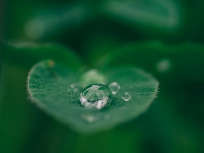 Pooling Water 📷<a href="/theaaronburden/">Aaron Burden</a>  #nature #hourlyNature #nomaddream #wonderlust #travel