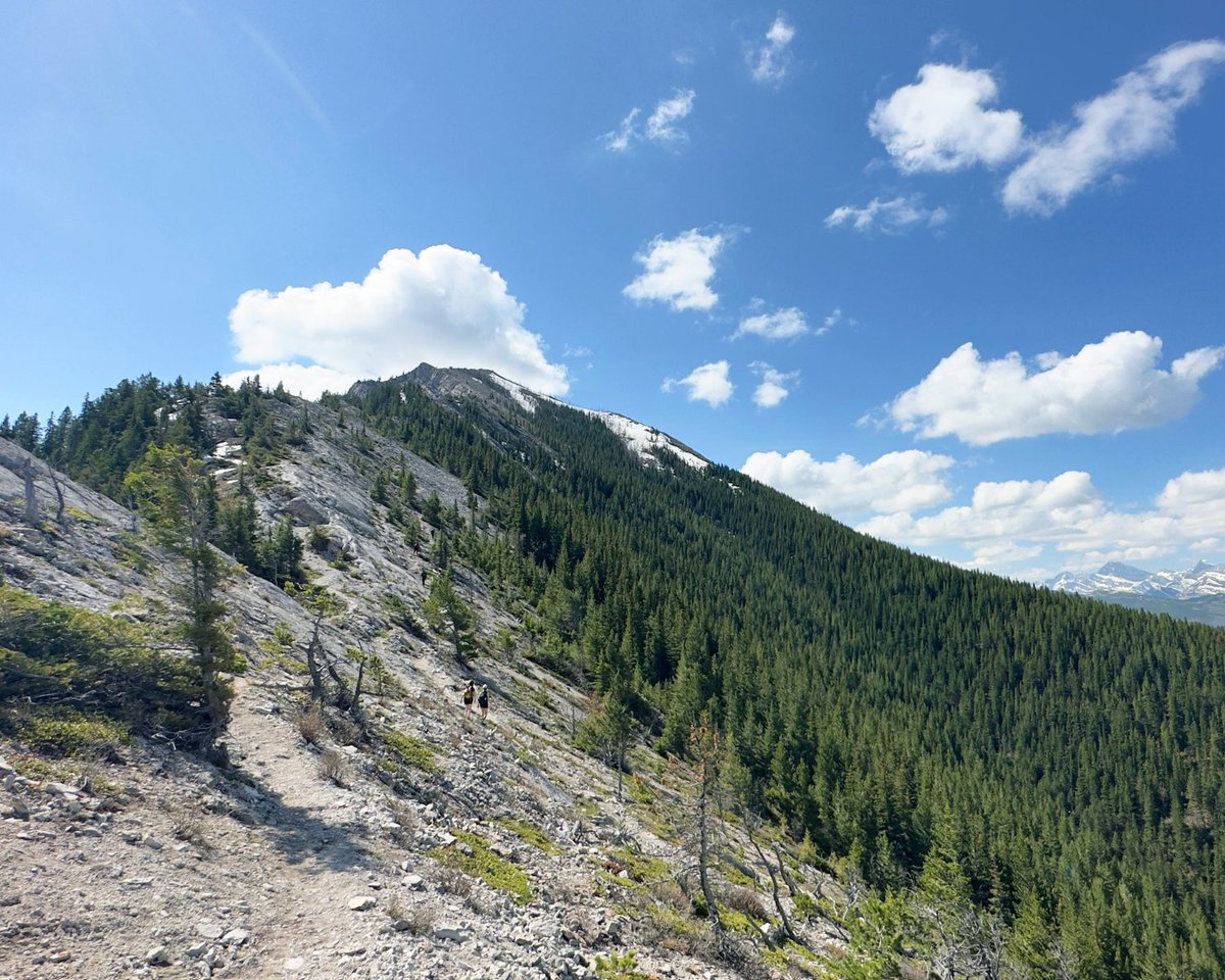 FernieBrewingCo's tweet photo. Happy May long! Where is the long weekend taking you?
-
What a coincidence that this is the first weekend of Trail to Ale™ 2023! Sounds like a pretty good adventure to us 🏕️
-
#DrinkFernie #TrailtoAle https://t.co/t3bF46ggwq