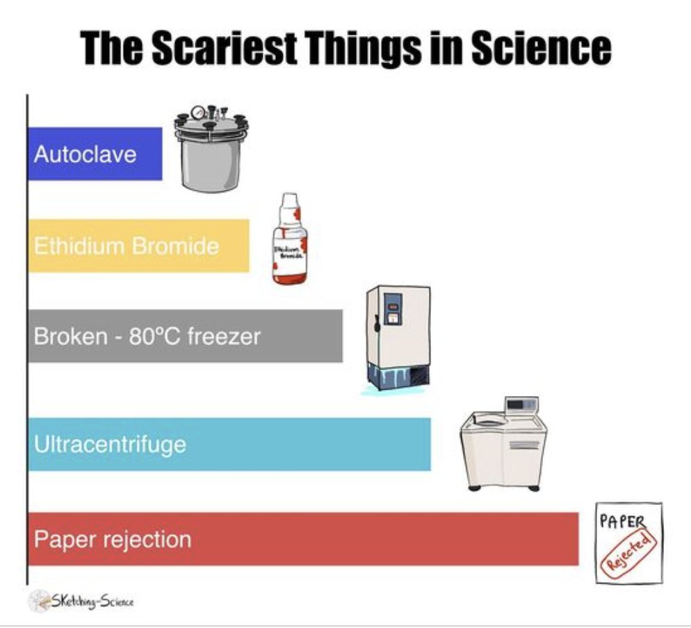 BioChain's tweet photo. The scariest things in science — do you agree?

Image Credit: Sketchy Science
#fridayfun #sciencefun #goodnews #science #friday #lablife #fridaymood #labvibe #sciencehumor #biology #laboratory #biotechfun  #health #biotechnology #biotech https://t.co/VTIaiOFKuK