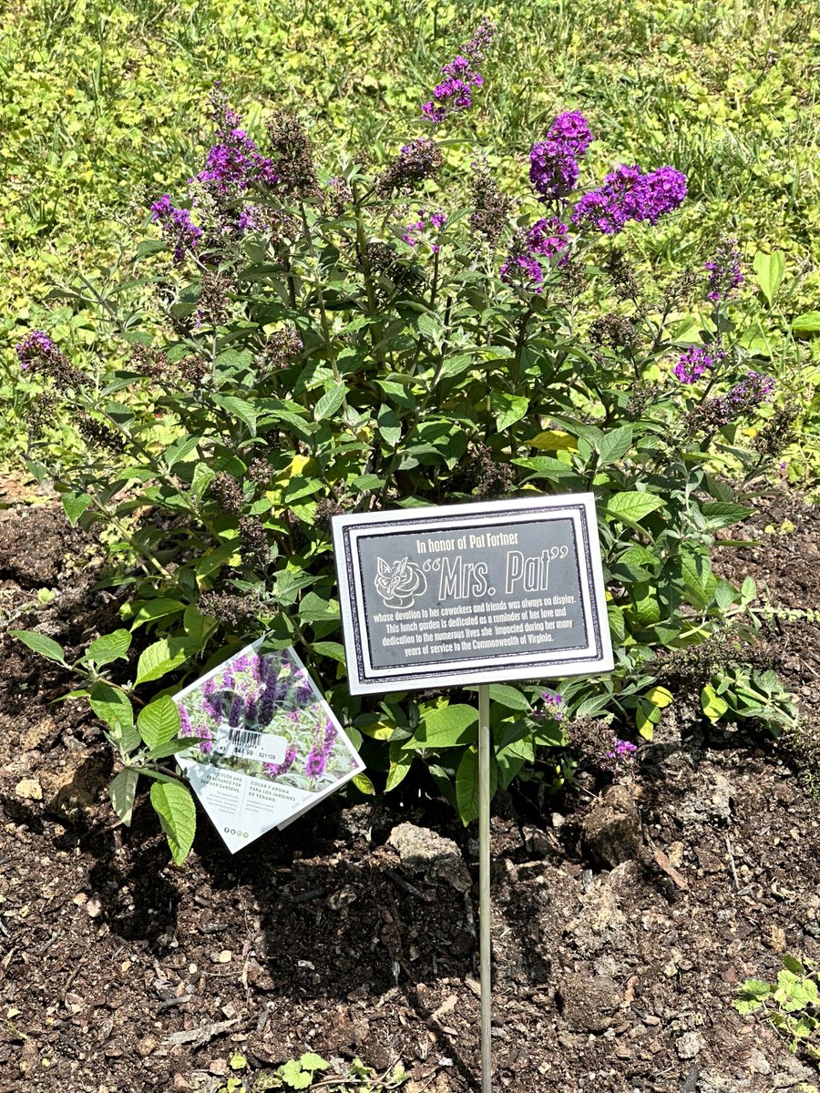 #VirginiaEnergy honored longtime employee Pat Fortner, affectionately known as Mrs. Pat, with a butterfly garden at our Big Stone Gap office🦋. Mrs. Pat served the Commonwealth for nearly 38 years and retired in October 2020.