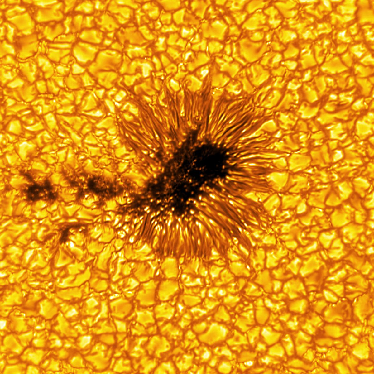 NatSolarObs's tweet photo. New images from the @NSF's Daniel K #InouyeSolarTelescope! Light bridges, sunspots, and other structures are featured. These images were drafted from data obtained during the first Cycle of observations, previewing the exciting science underway: https://t.co/VHHorpslmp #NSFfunded https://t.co/68CRRIQ8St