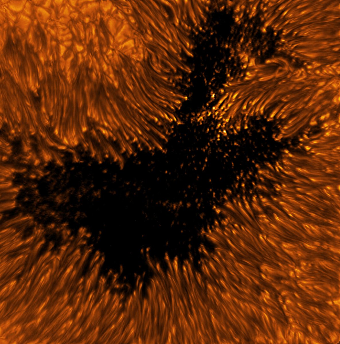 NatSolarObs's tweet photo. New images from the @NSF's Daniel K #InouyeSolarTelescope! Light bridges, sunspots, and other structures are featured. These images were drafted from data obtained during the first Cycle of observations, previewing the exciting science underway: https://t.co/VHHorpslmp #NSFfunded https://t.co/68CRRIQ8St