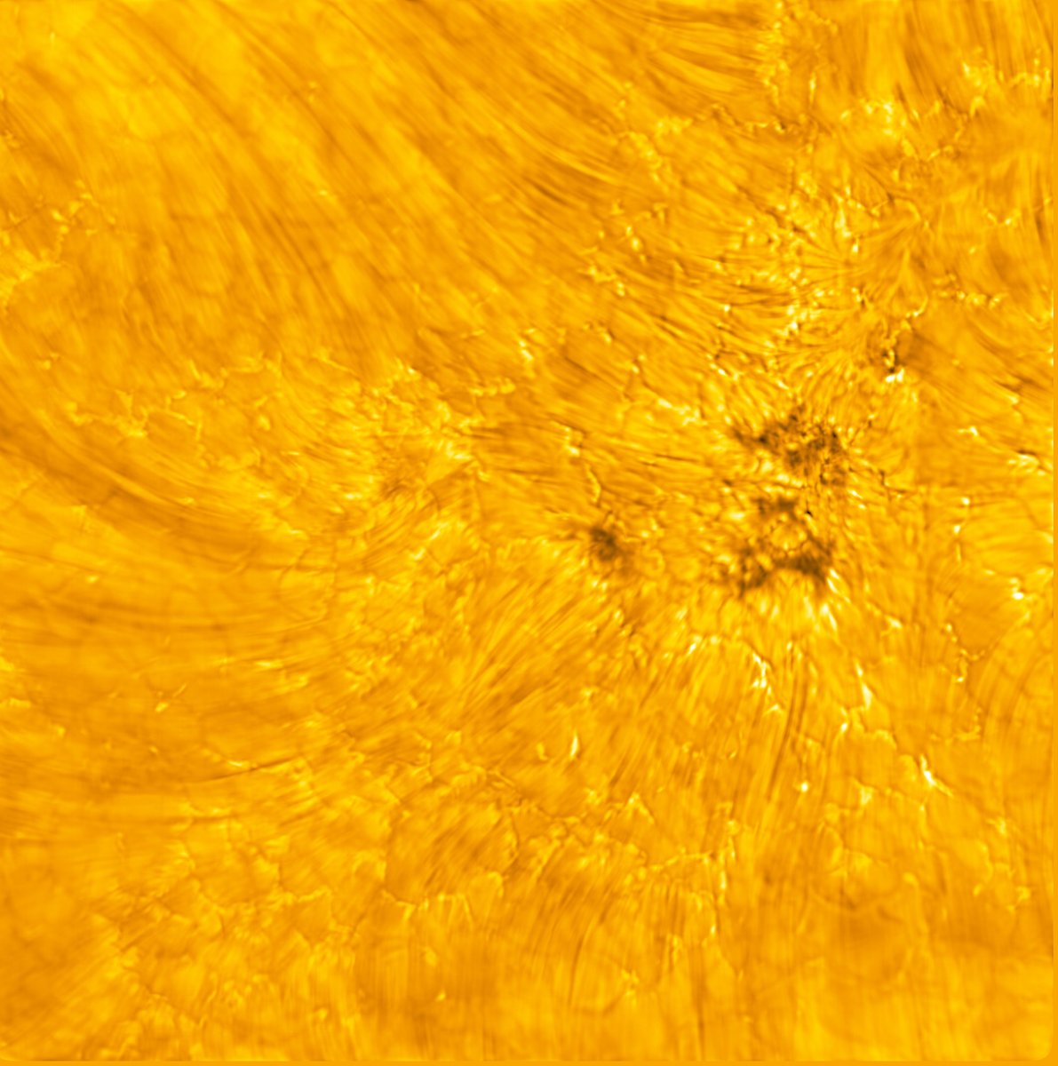 National Solar Observatory (@natsolarobs) on Twitter photo New images from the <a href="/NSF/">U.S. National Science Foundation</a>'s Daniel K #InouyeSolarTelescope! Light bridges, sunspots, and other structures are featured. These images were drafted from data obtained during the first Cycle of observations, previewing the exciting science underway: ow.ly/zWLK50OskXx #NSFfunded New images from the <a href="/NSF/">U.S. National Science Foundation</a>'s Daniel K #InouyeSolarTelescope! Light bridges, sunspots, and other structures are featured. These images were drafted from data obtained during the first Cycle of observations, previewing the exciting science underway: ow.ly/zWLK50OskXx #NSFfunded