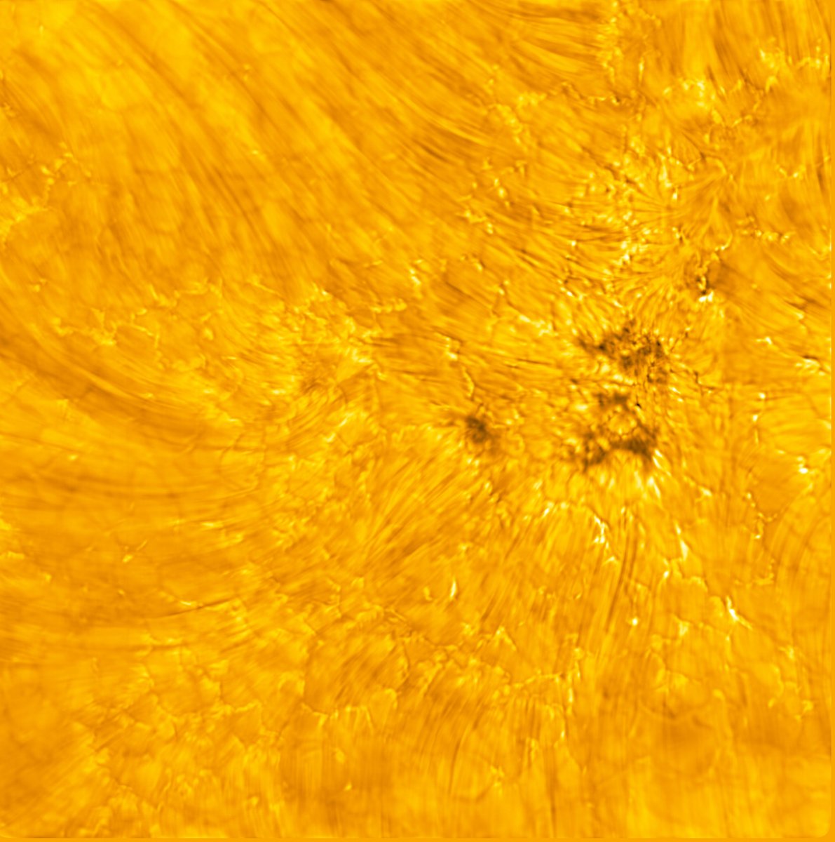 New images from the @NSF's Daniel K #InouyeSolarTelescope! Light bridges, sunspots, and other structures are featured. These images were drafted from data obtained during the first Cycle of observations, previewing the exciting science underway: ow.ly/zWLK50OskXx #NSFfunded