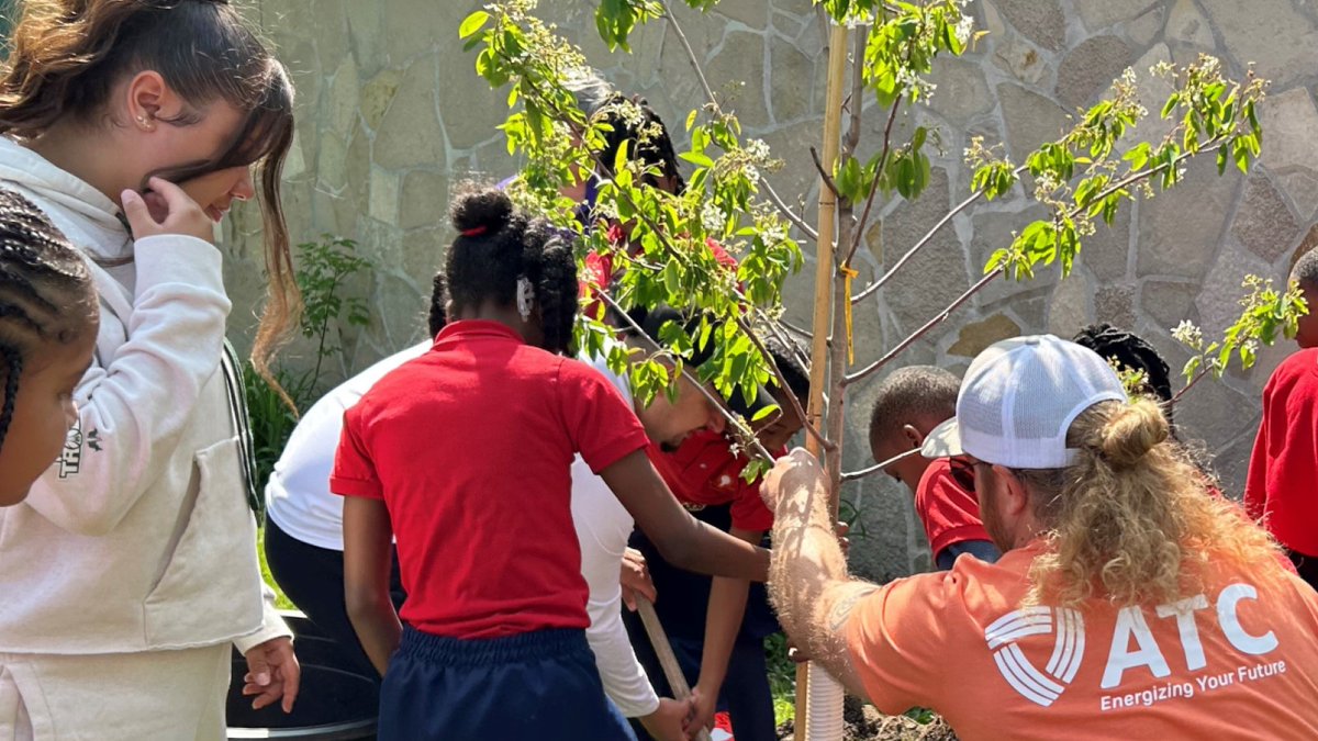 ATCgrid's tweet photo. Congrats to the nearly 120 WI schools receiving trees through our #TreesforThrees partnership with @BucksCommunity. So proud of @Bucks for making a franchise record 612 three-pointers at Fiserv Forum this season & winning the Eastern Conference! Read more: https://t.co/HCdoOK9ekJ https://t.co/Mggo3U6hoW