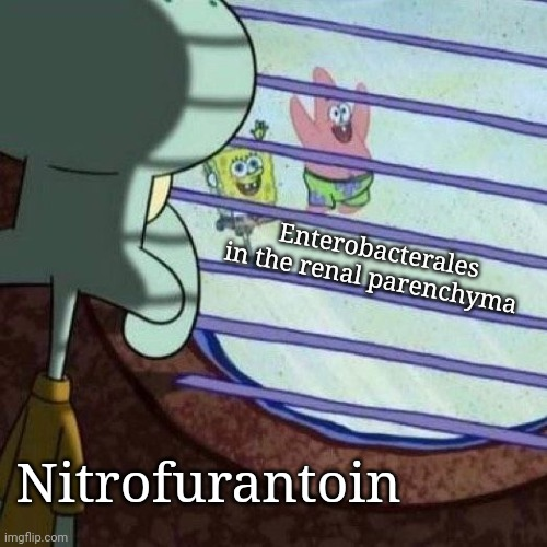 Nitrofurantoin meme