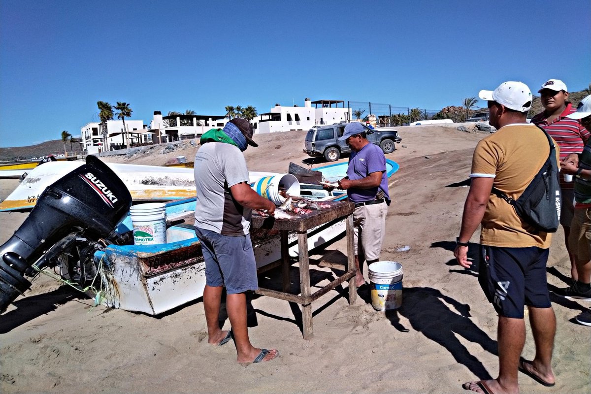 Gobierno de BCS on Twitter "1/ 📰 Noticias El titular de la Secretaría de Pesca, Acuacultura