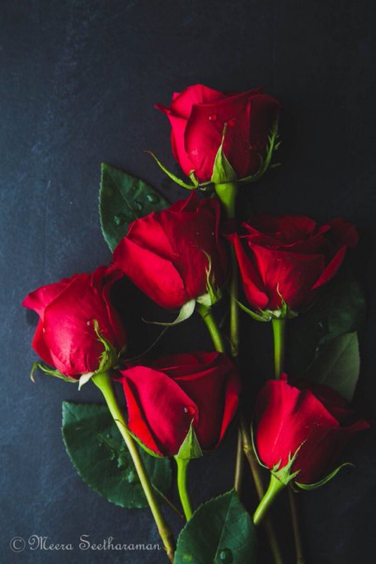 flower10_no's tweet photo. @nourhan3amerrr 

@nourhan3amerrr 
يزعلك الجيش وافضل افرحك انا يا قمر حياتي💜💜
Stay with me in my new year and for ever ya nono♥️ https://t.co/QvQ4EwwGpI