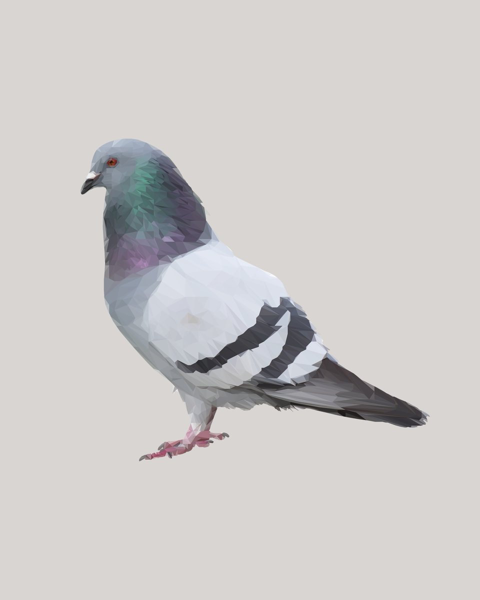 Digital Downloads currently available for $3!
Check ’em out here: etsy.com/shop/9thcycles…

#birds #digitalart #EtsyHandmade