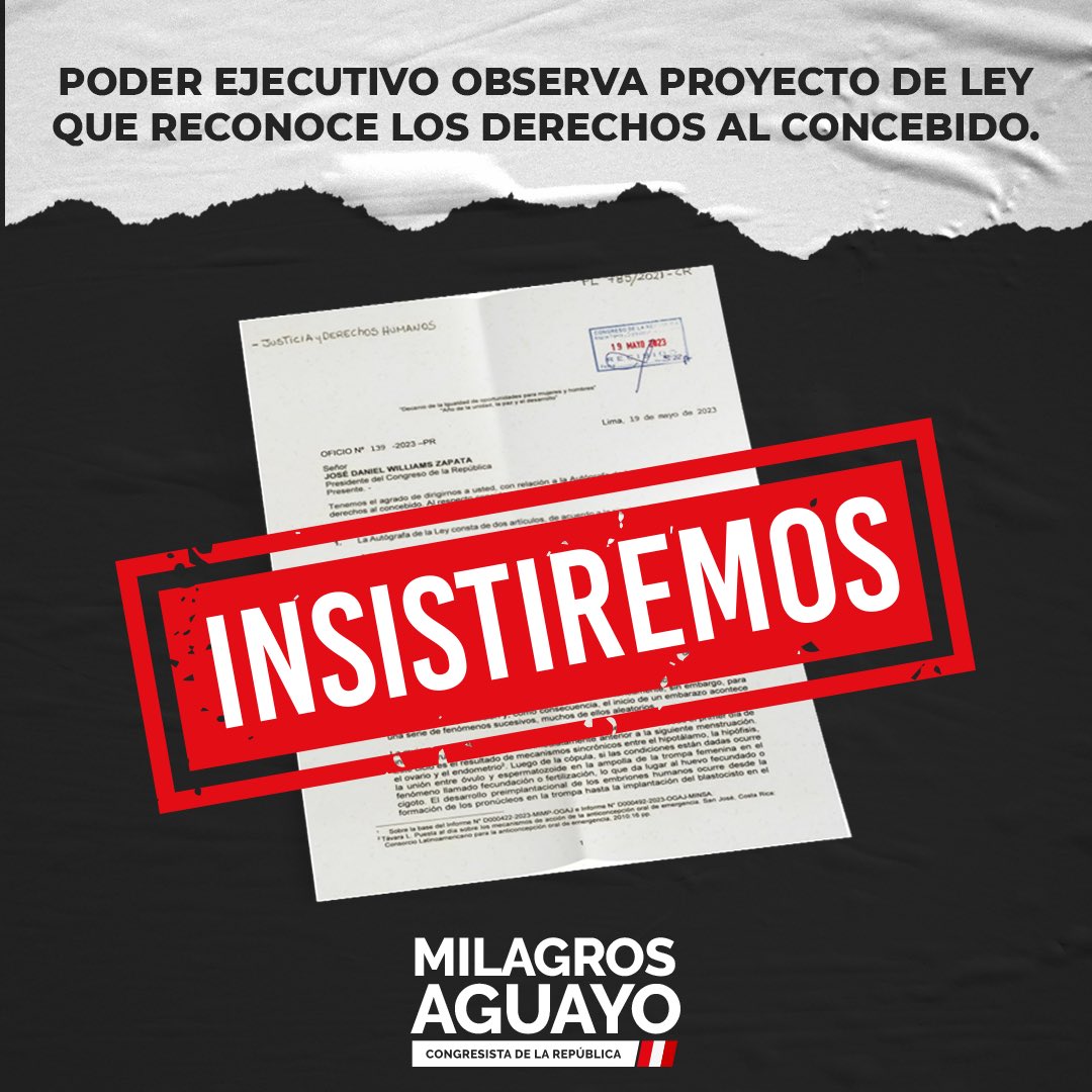 MJAguayo63's tweet photo. Una vergüenza total la observación planteada por el Poder Ejecutivo al Proyecto de Ley que Reconoce Derechos al Concebido. Un documento lleno de inexactitudes y contradicciones ¡INSISTIREMOS! #PeruEsProVida #ElConcebidoTieneDerechos
👉 Documento completo: https://t.co/FF54rBevOa https://t.co/hN9NKu5RZi