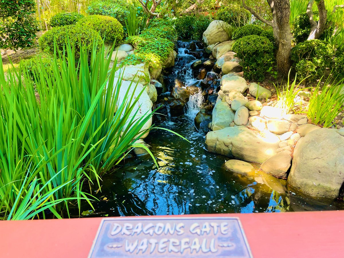 spmikey83's tweet photo. Fishy kisses. ๐โ๏ธ๐๐๐บ๐ชด๐๐ โ #GardensOfTheWorld #KoiFishPond #MeAndKass #MikeyAndKassy #CaliforniaLOVE #ThousandOaks #MikeyPhotography #May2023 https://t.co/WNwid9kM3N