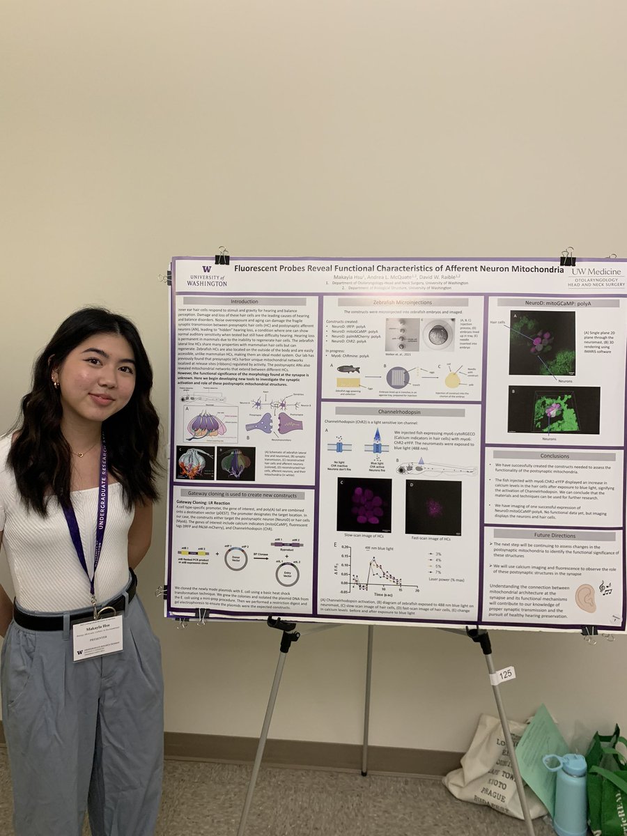 Deoxyribolove's tweet photo. Congrats to Brenna Linton and Makayla Hsu for two outstanding posters at today’s UW undergraduate research symposium! @RaibleLab #TeamMito #FutureOfScience https://t.co/lMr0sKpdKq