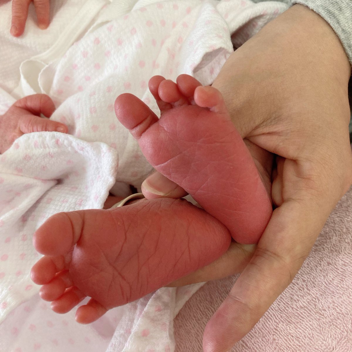 GMです☺️☀️

低浮上でしたが、なんとなんと2人目を産んでおりました〜☺️
女の子産まれました👧🏻🎀

しばらくまた低浮上ですがNFTやめてませんので、これからもよろしくお願いします🌻