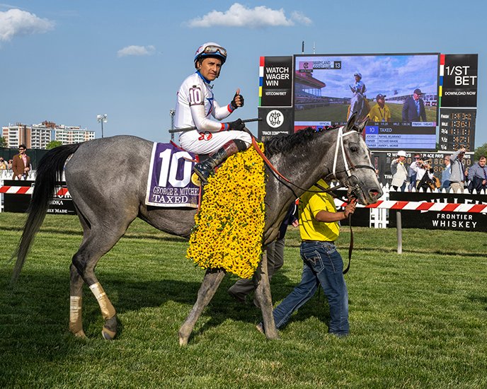 Anne Eberhardt Keogh on Twitter "Taxed with Rafael Bejarano wins the