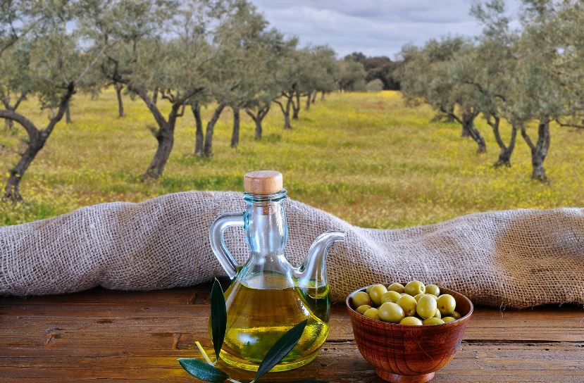 A bottle of good Italian olive oil is like a bottle of liquid gold. It's not only delicious but it's packed with health benefits like antioxidants and healthy fats. Which is your favorite?  #HealthyEating #ItalianCuisine learnitalianpod.com/2023/04/07/bes…