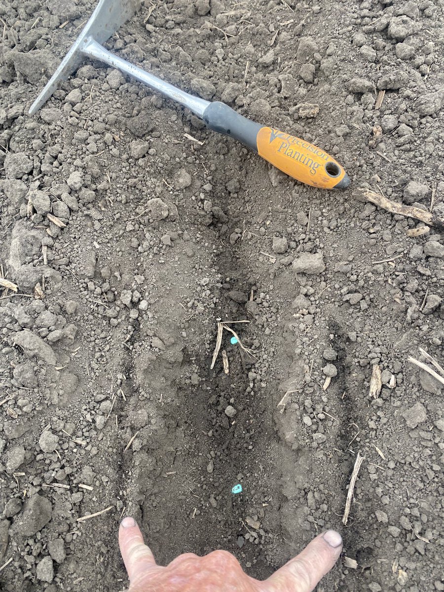 Steve Hettinger tweet media