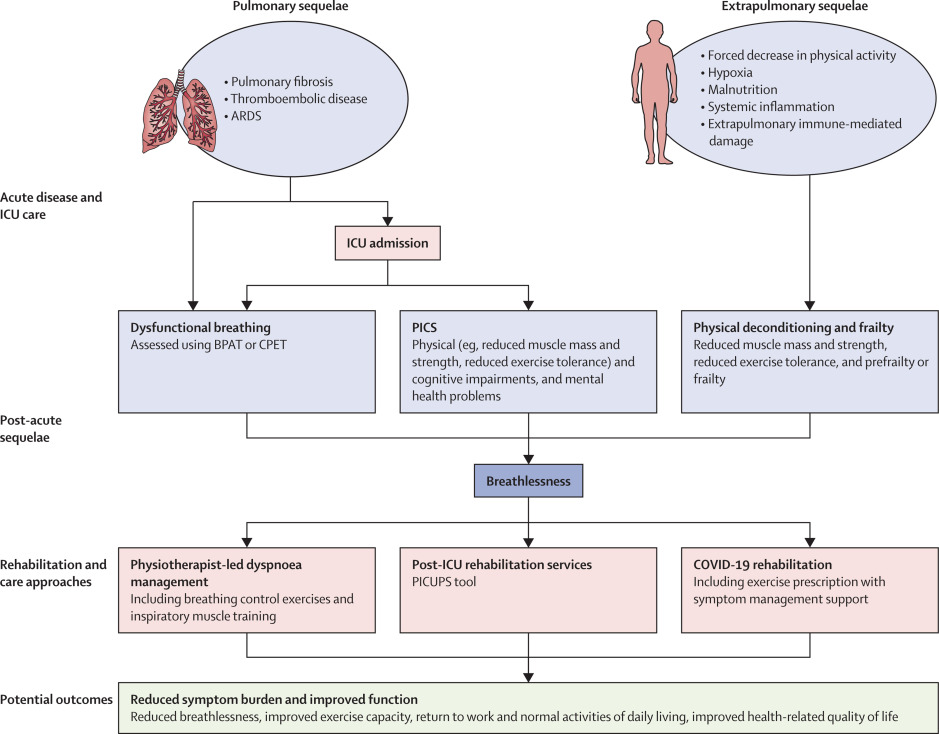 The Lancet Respiratory Medicine (@lancetrespirmed) on Twitter photo NEW Series paper—Respiratory sequelae of #COVID19: pulmonary and extrapulmonary origins, and approaches to clinical care and rehabilitation
From <a href="/SallySingh_/">Sally Singh</a> and colleagues bit.ly/3OoXrY2
The first in a Series of three papers about #PASC #longCOVID NEW Series paper—Respiratory sequelae of #COVID19: pulmonary and extrapulmonary origins, and approaches to clinical care and rehabilitation
From <a href="/SallySingh_/">Sally Singh</a> and colleagues bit.ly/3OoXrY2
The first in a Series of three papers about #PASC #longCOVID