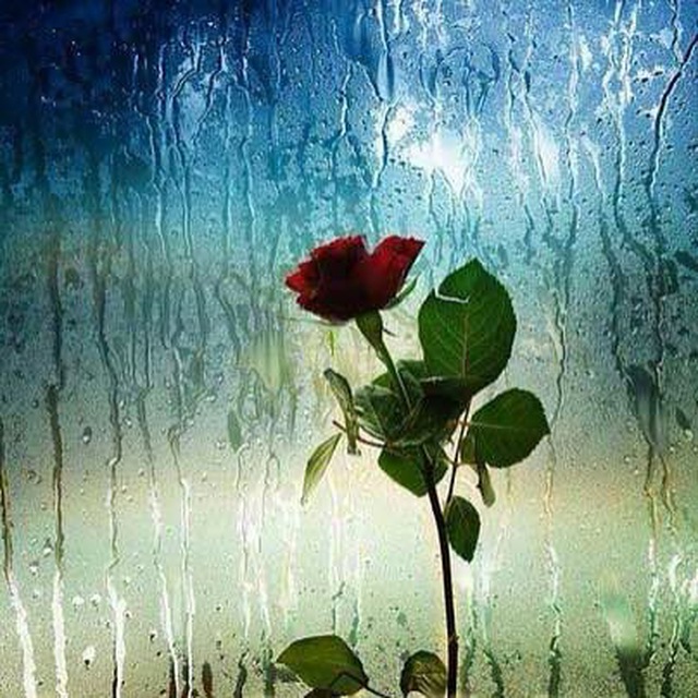 Wanna you bе the air every time i breathe..

Wanna you be the blood  runnin’ through my veins 

Wanna you be my heart there’s only one wish ..
                             ❤️you ❤️

#selflove
#selfcare
#selfknowledge
#JesusSaves
#ThePromisedSaviour