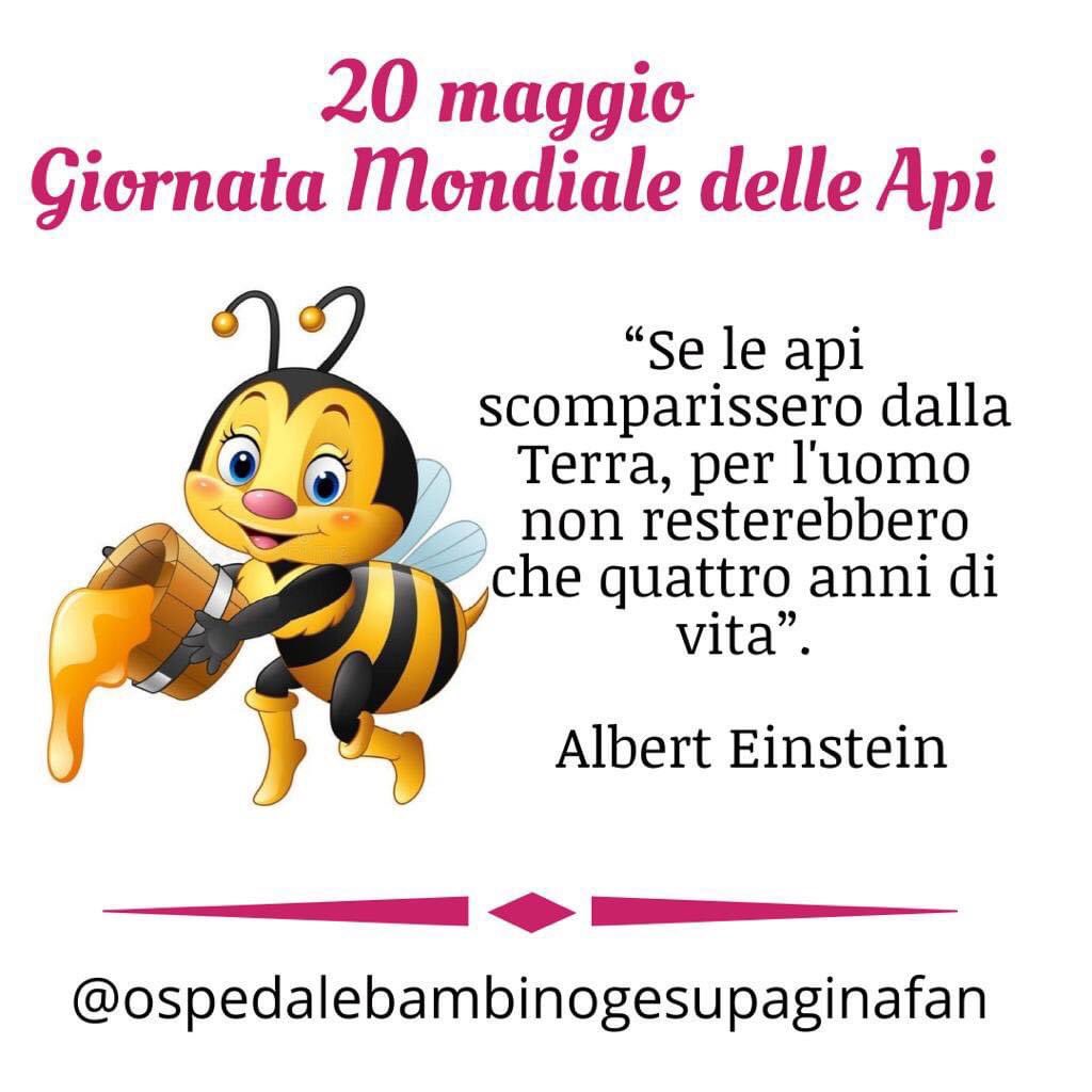 #20maggio 🐝♥️🐝
#Giornatamondialedelleapi 🐝