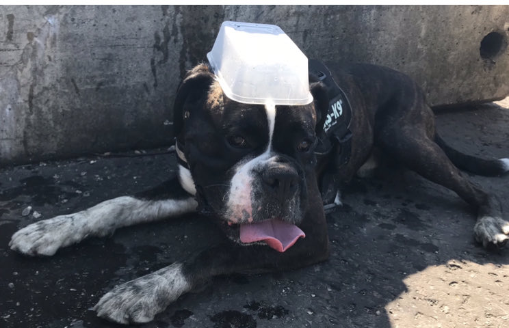 RIP eric. love and remember u forever xx tweet media