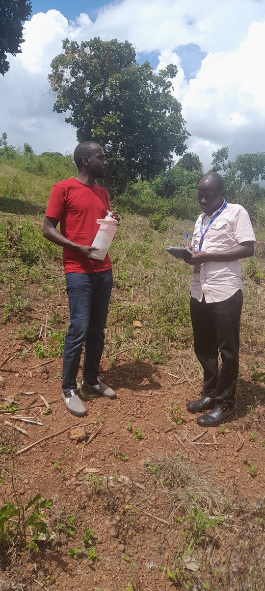 samuelkalungi1's tweet photo. A new π farm is underway in Mityana #Zingayaffe https://t.co/NNJAyyRUJM