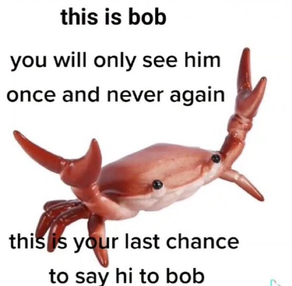 bob