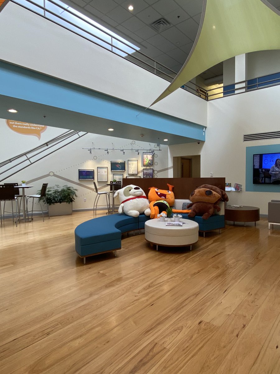 Haven’t tweeted much since I left education and transitioned to ed-tech. It’s been such a great experience I am so happy, I have a work life balance and I have a strong sense of belonging <a href="/CurriculumAssoc/">Curriculum Associates</a>