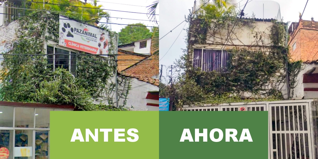 Fundación PazAnimal tweet media