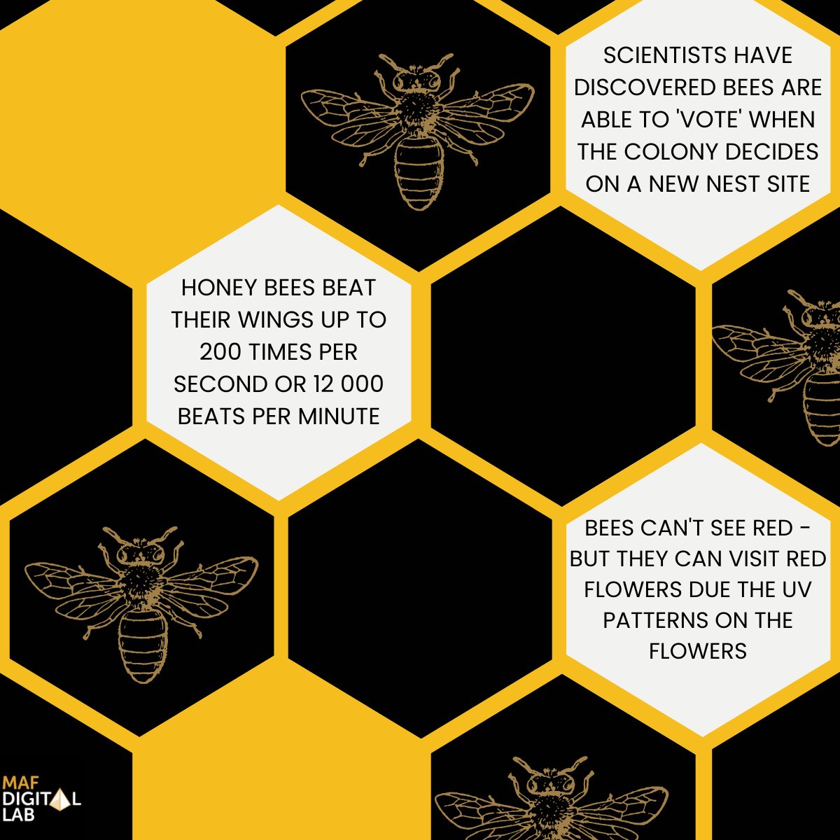 It's World Bee Day 🐝
We’ve bee-n taking some time today to appreciate our fascinating little winged friends and we think you should too!

#worldbeeday