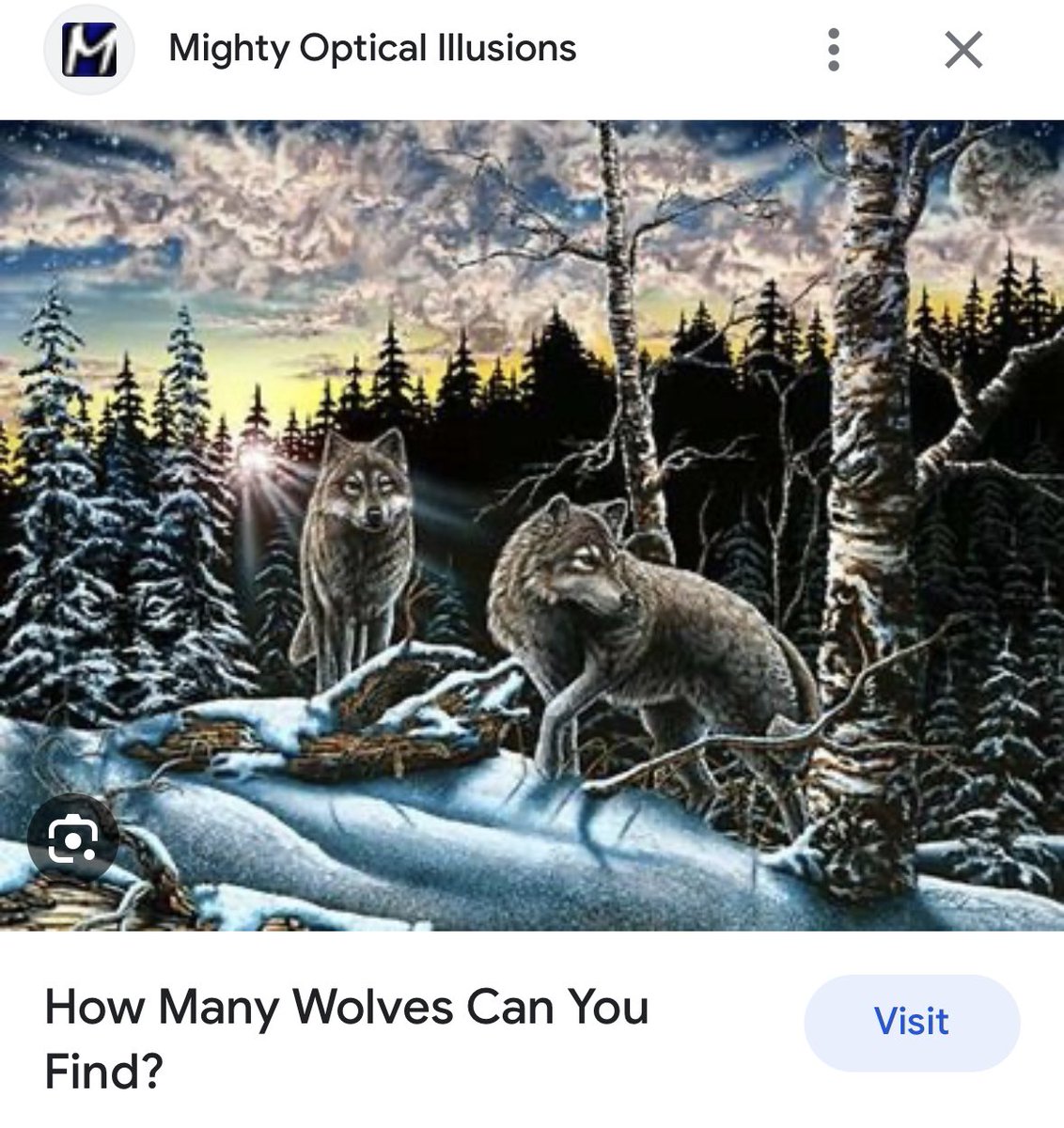 ￼ Can you find the wolves in this picture?