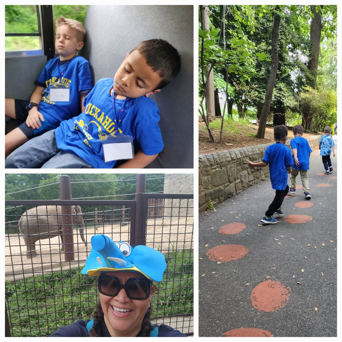 Lions 🦁 and tigers 🐅 oh my!!! The kids had so much fun at the National Zoo. Thanks to our awesome prek parents who joined and helped us.
