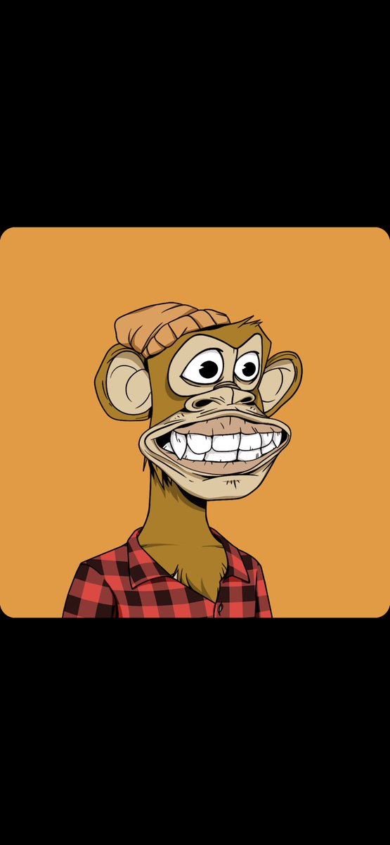 intotherain tweet media