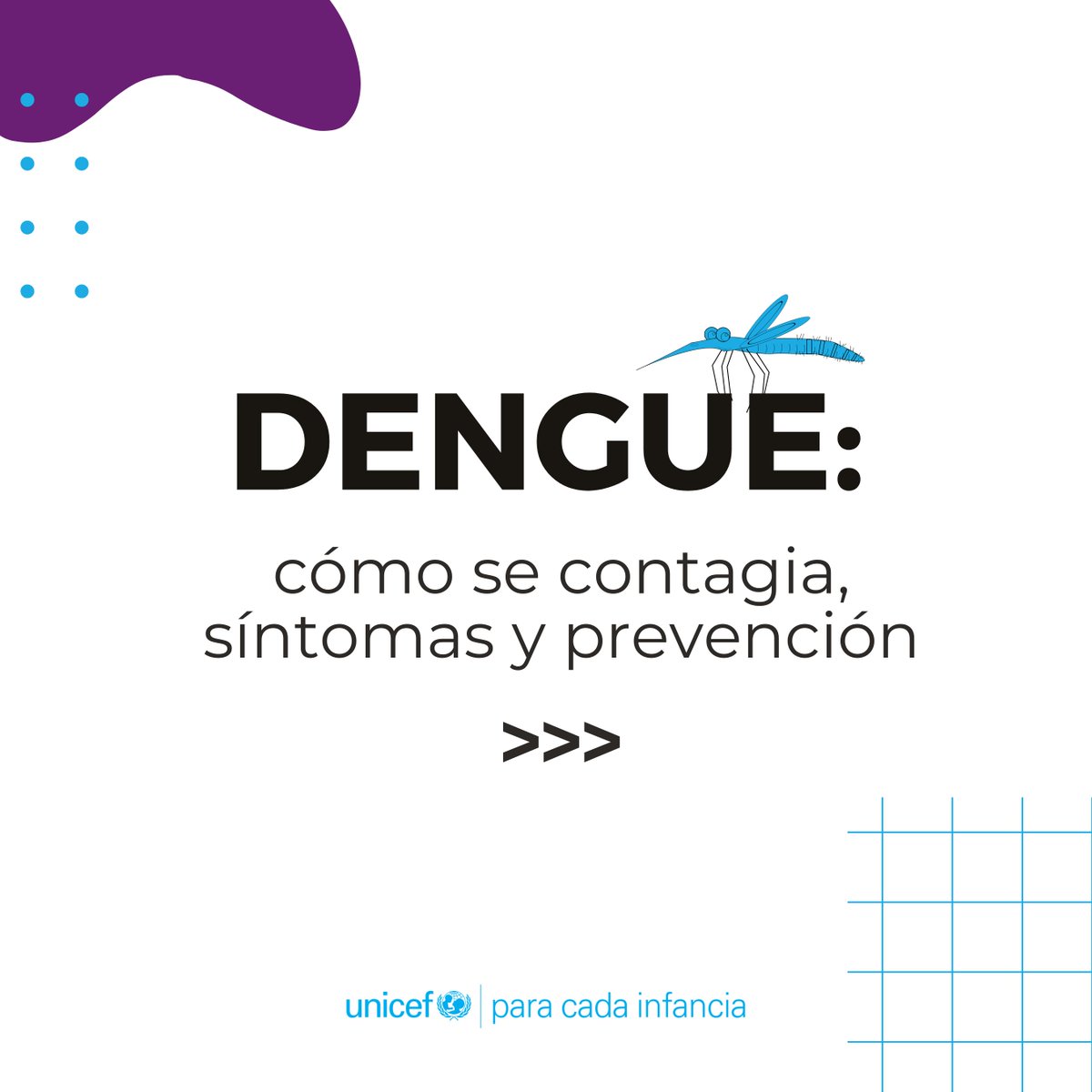 UNICEFperu's tweet image. ⚠️ 🦟 El #Dengue está aquí. ¿A qué síntomas debemos estar alertas? ¿Cómo podemos evitar el contagio?
👉 No relajemos los cuidados. Sigue estos consejos y cuida a tu familia y a ti del dengue.
