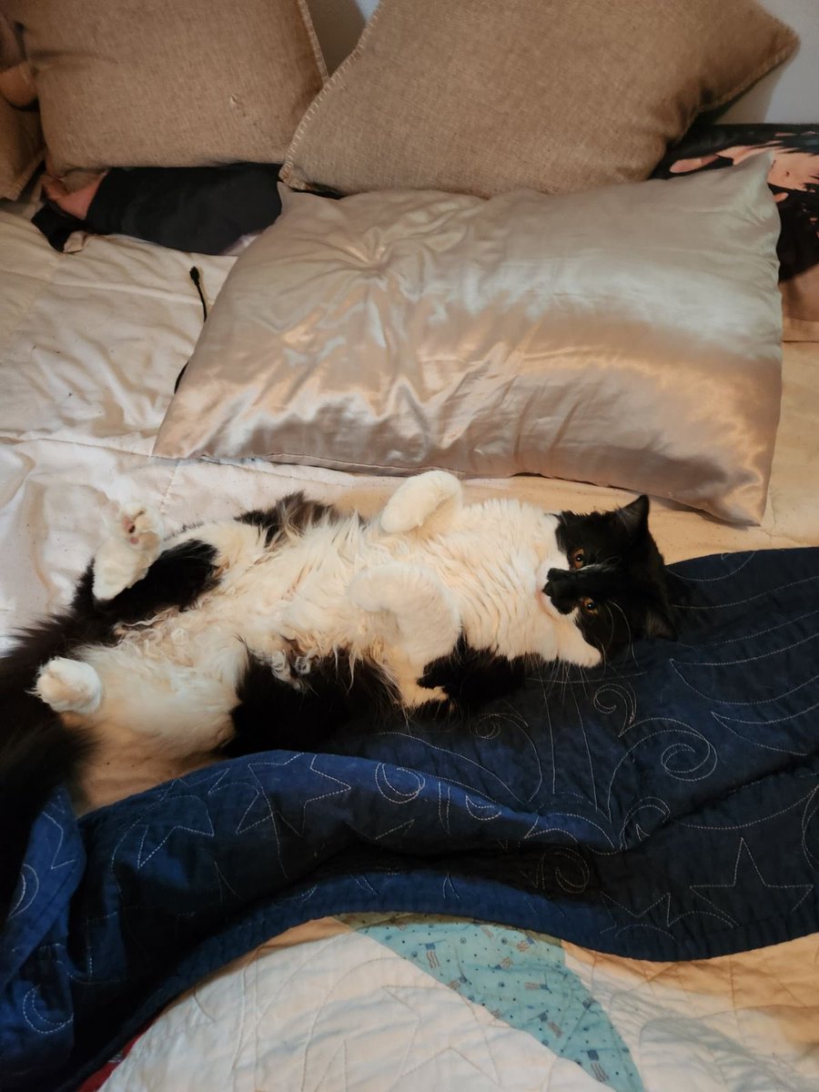 You find him in your bed—what do you do?