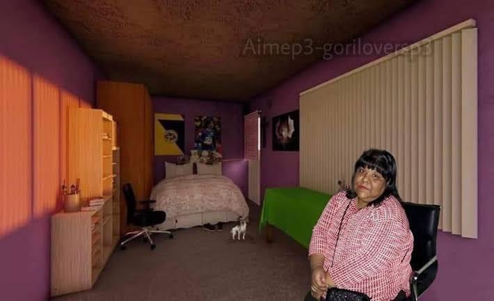 upsorrynot's tweet image. Yo pensando que arreglé mi vida solo por que limpié y acomodé mi cuarto :