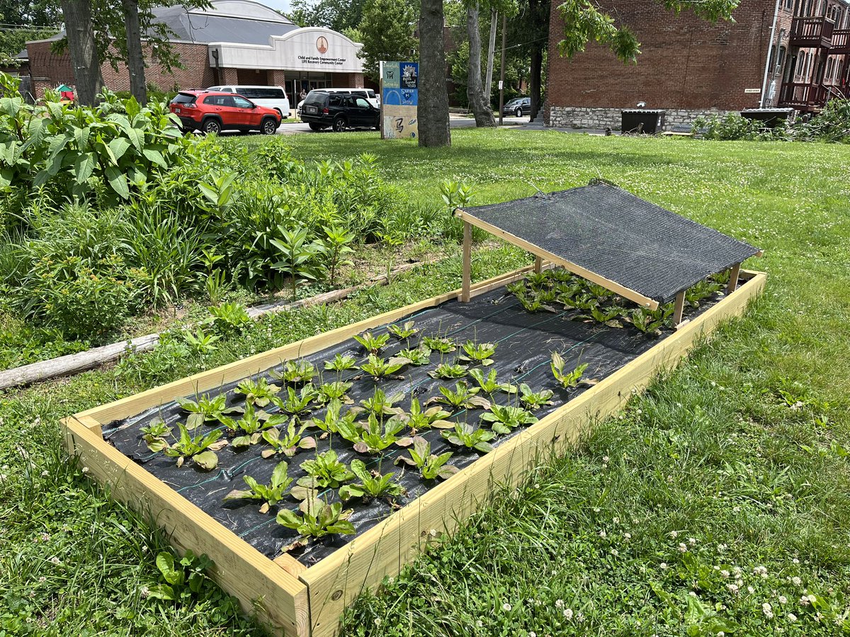 Cheyenne Morris tweet media