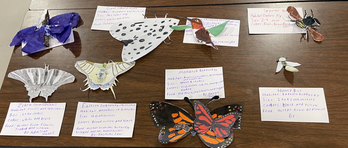 My students concluded their project today working with pollinators. They surpassed expectations working towards their goal, even became published authors. PBL has made a tremendous impact on my classroom and the confidence in these learners.💚💛#themustangway #rcLEAD @PBLWorksKY