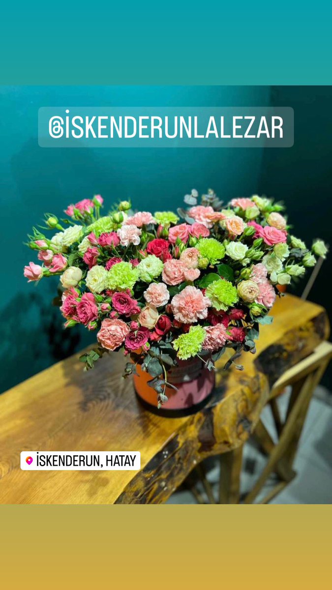 iskenderuncicek's tweet photo. #lalezar #iskenderun #hatay #çiçek #iskenderuncicek #iskenderuncicekci #arsuz #belen #çiçekçim https://t.co/KvvvnvbpYG